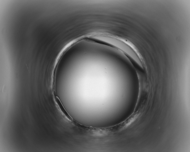 X0000086240815200704051217