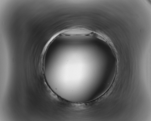 X0000086240816200704051217