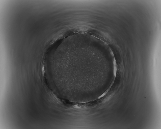 X0000086240818200704051217