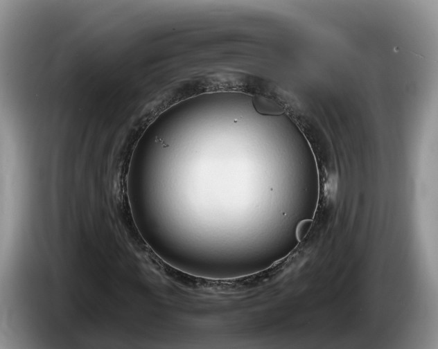 X0000086240819200704051217