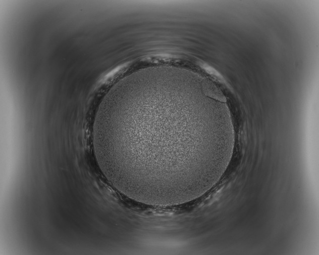 X0000086240822200704051217