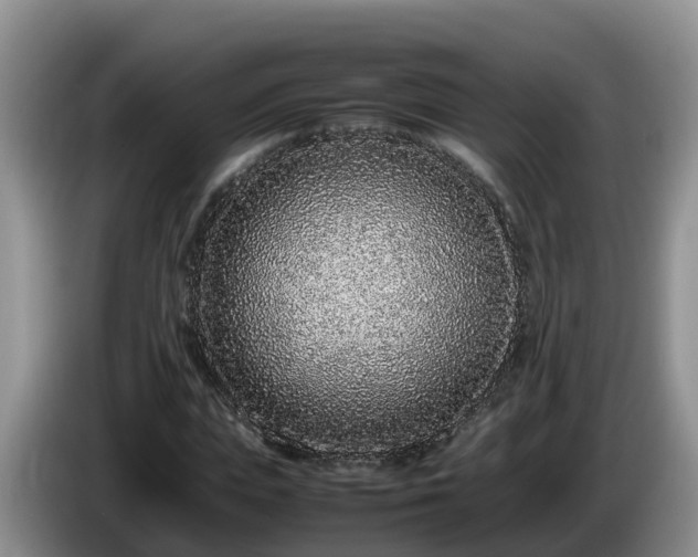 X0000086240823200704051217