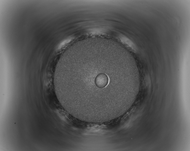X0000086240824200704051217