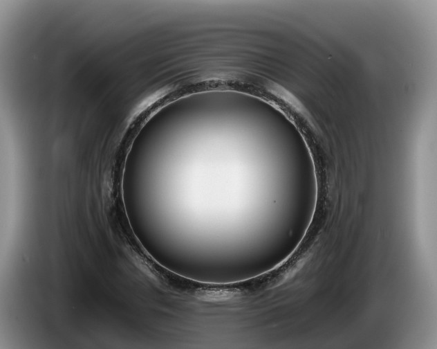 X0000086240826200704051217