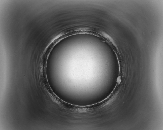 X0000086240827200704051217
