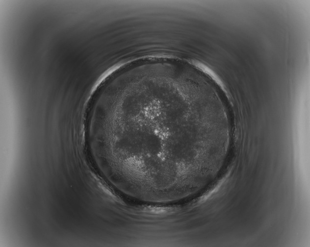 X0000086240829200704051217