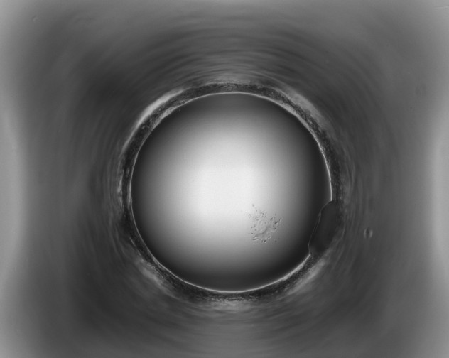 X0000086240830200704051217