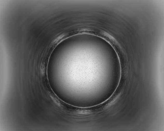 X0000086240833200704051217