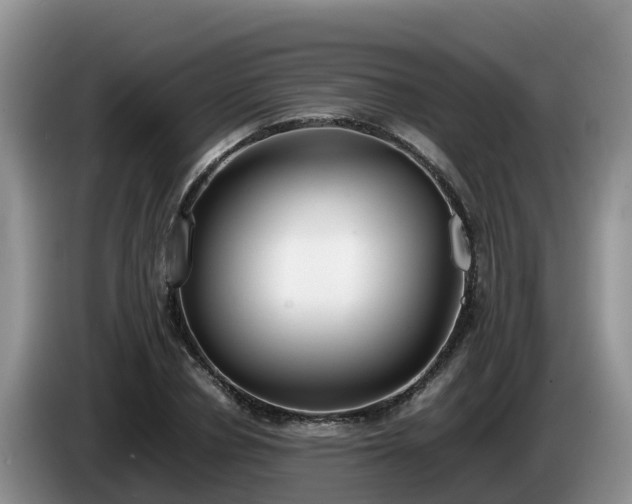 X0000086240834200704051217