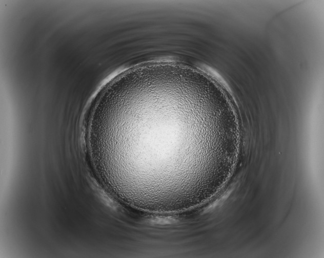 X0000086240835200704051217
