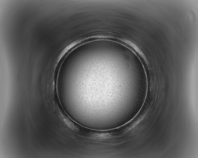 X0000086240837200704051217