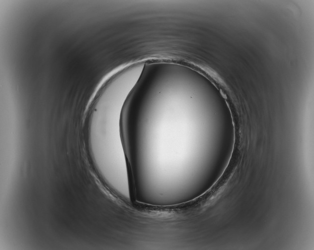 X0000086240838200704051217