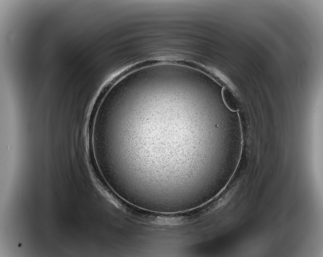 X0000086240840200704051217