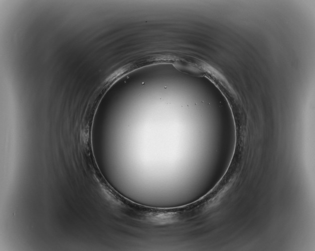 X0000086240841200704051217