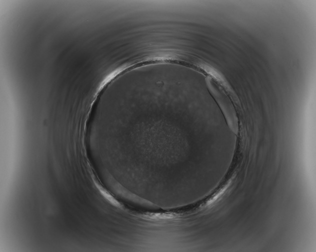 X0000086240842200704051217