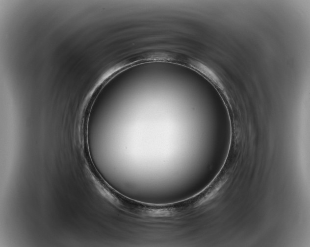 X0000086240843200704051217