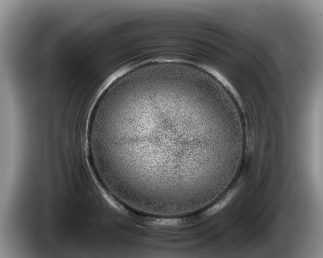 X0000086240845200704051217
