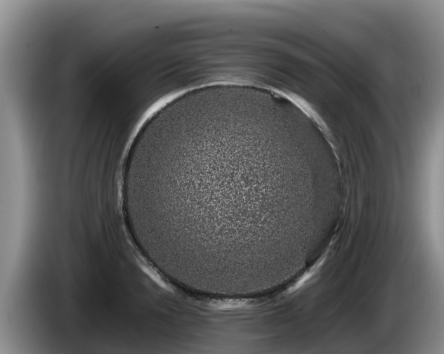 X0000086240846200704051217