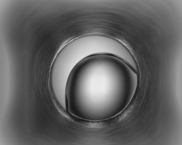 X0000086240850200704051217