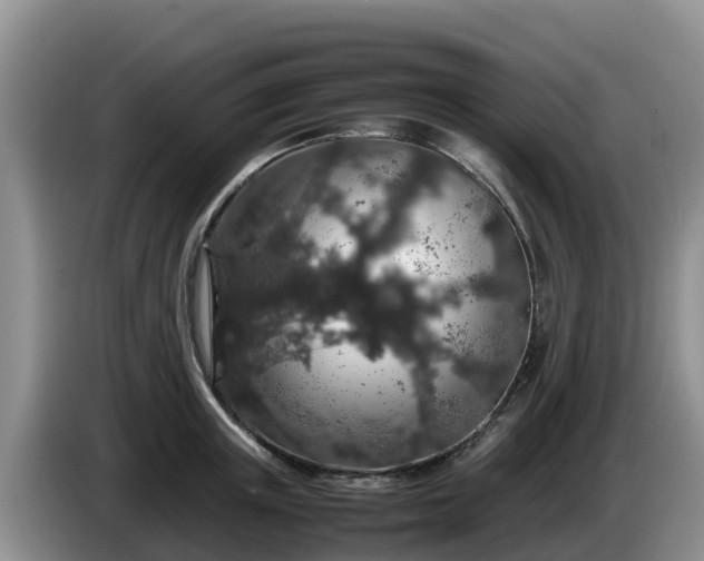 X0000086240851200704051217