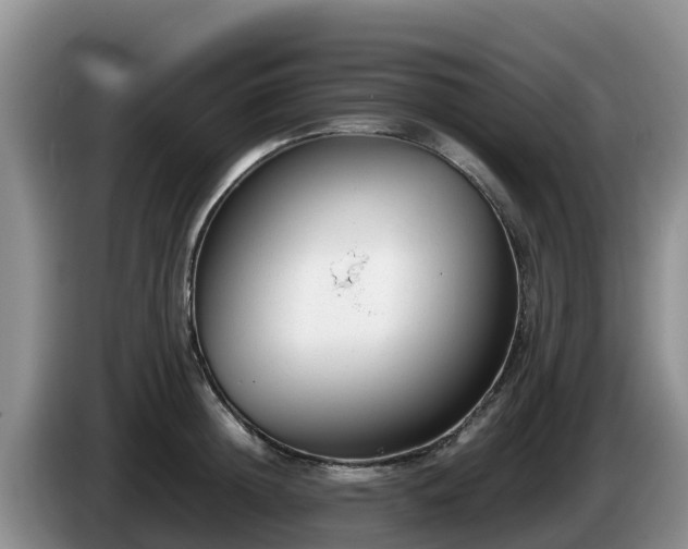 X0000086240852200704051217