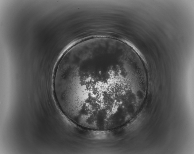 X0000086240853200704051217