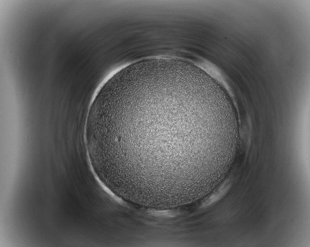 X0000086240855200704051217