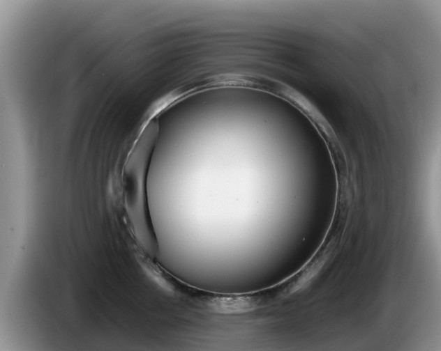 X0000086240858200704051217