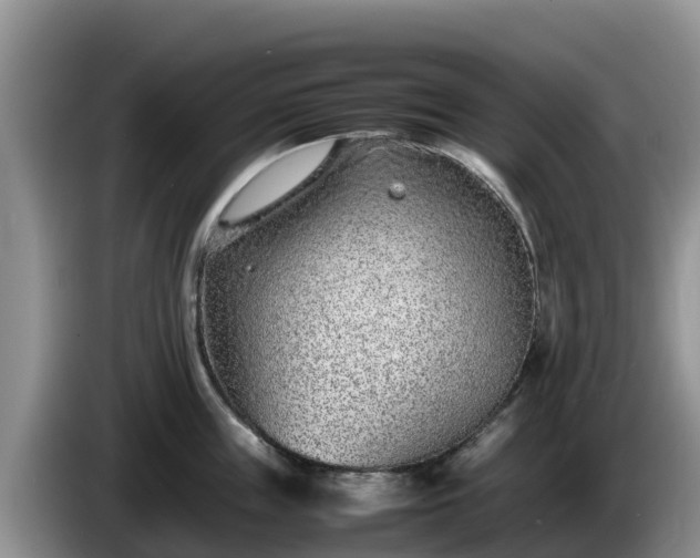 X0000086240859200704051217