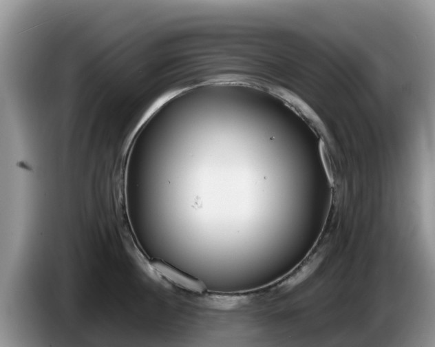 X0000086240860200704051217