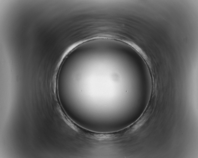 X0000086240862200704051217