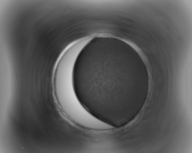 X0000086240864200704051217