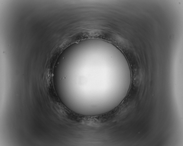 X0000086240866200704051217
