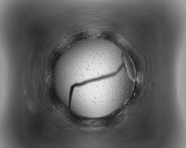X0000086240867200704051216