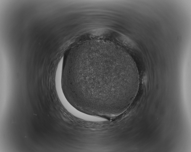 X0000086240868200704051216