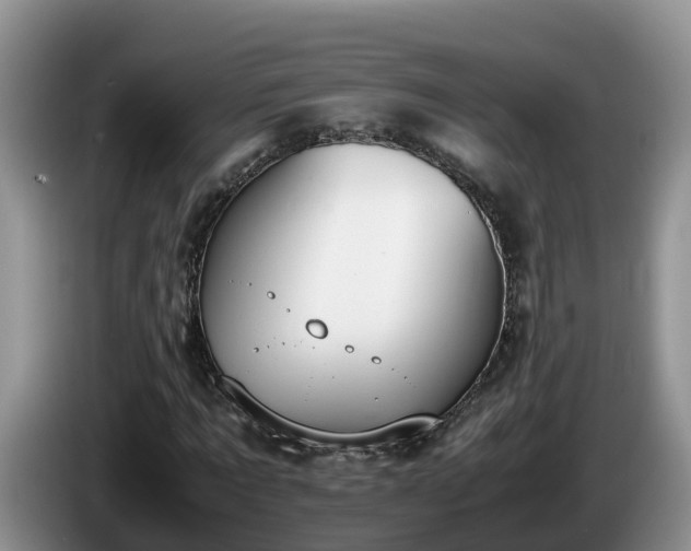 X0000086240869200704051216