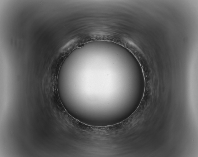X0000086240870200704051216