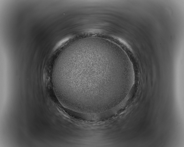 X0000086240872200704051216