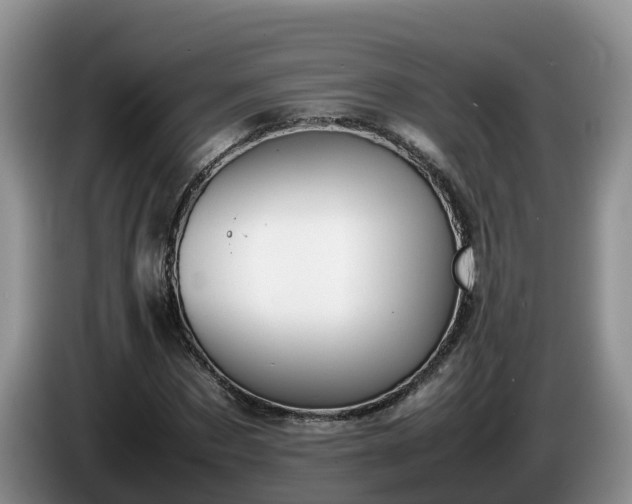 X0000086240873200704051216