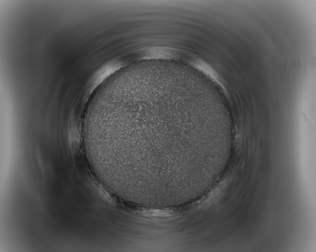 X0000086240874200704051216