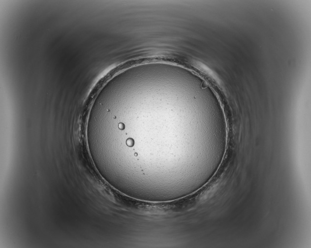 X0000086240875200704051216