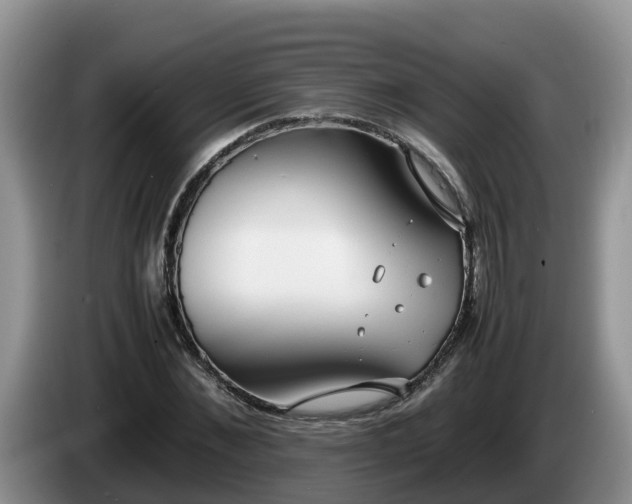 X0000086240876200704051216