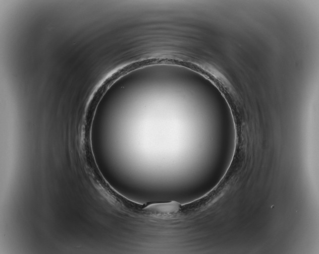 X0000086240880200704051216