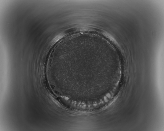 X0000086240881200704051216