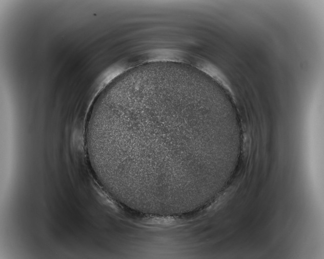 X0000086240882200704051216