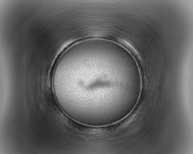 X0000086240883200704051216