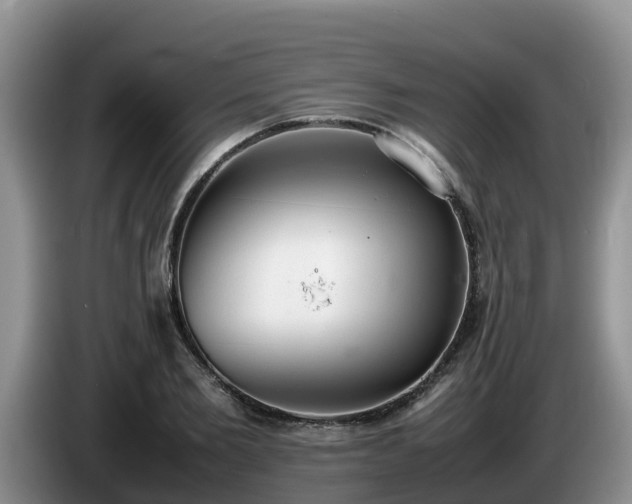 X0000086240885200704051216