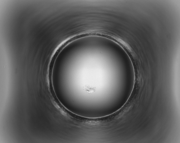 X0000086240888200704051216