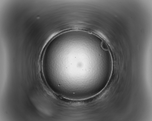 X0000086240891200704051216