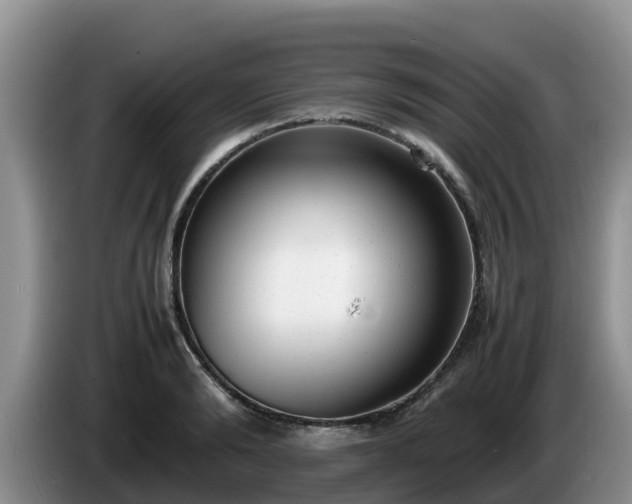 X0000086240894200704051216
